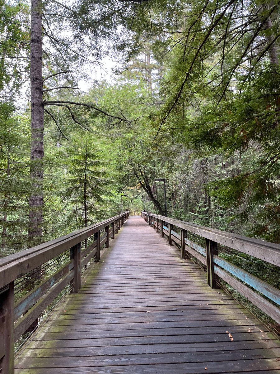 Jeff Erickson tweet media