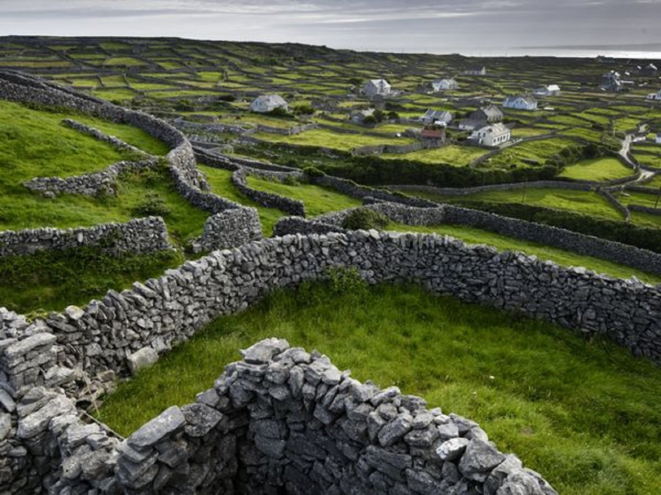 Tracy Hogan On Twitter Ireland And Stone Fences Go Hand In Hand