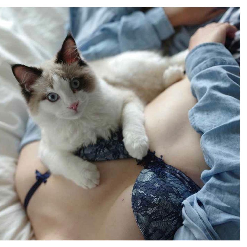 Котик на груди