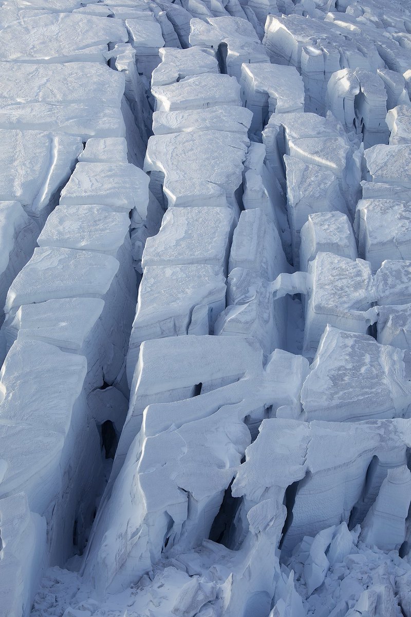 Lee Cook tweet media