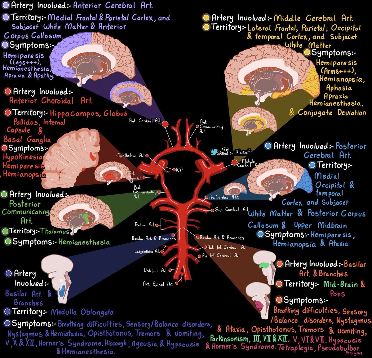 OGdukeneurosurg tweet picture