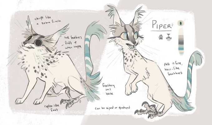 nn full ref here 