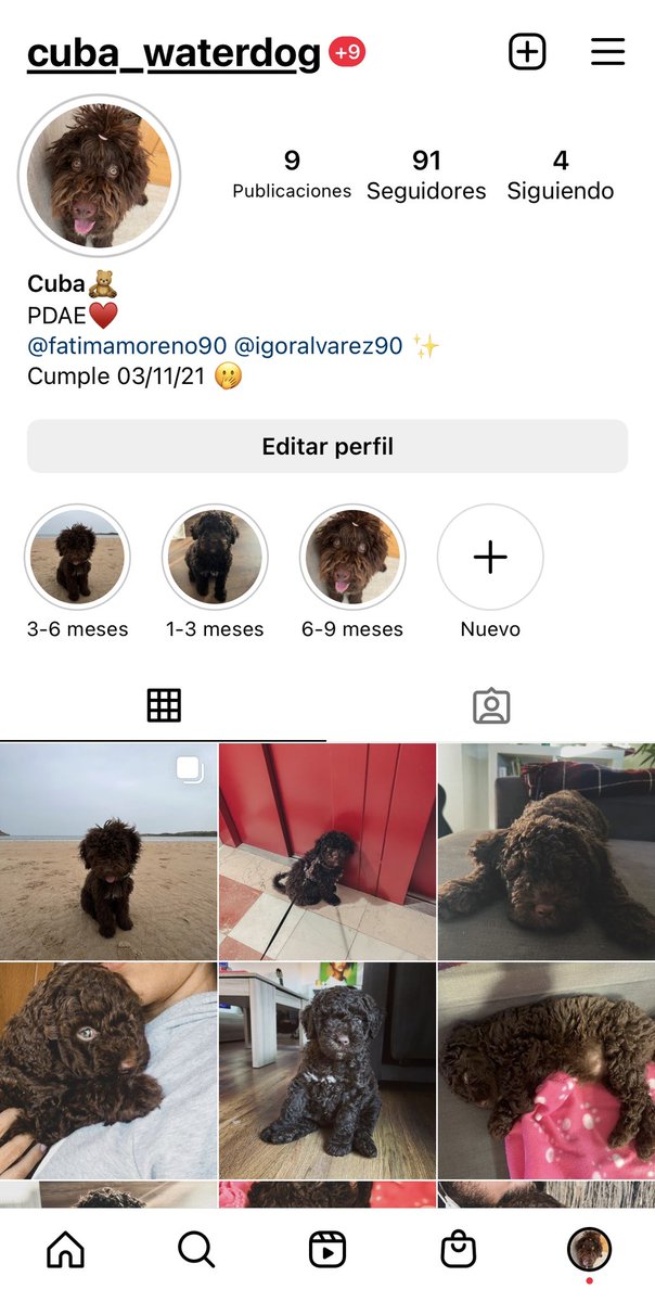 Dadle amor 🫣🧸🫶