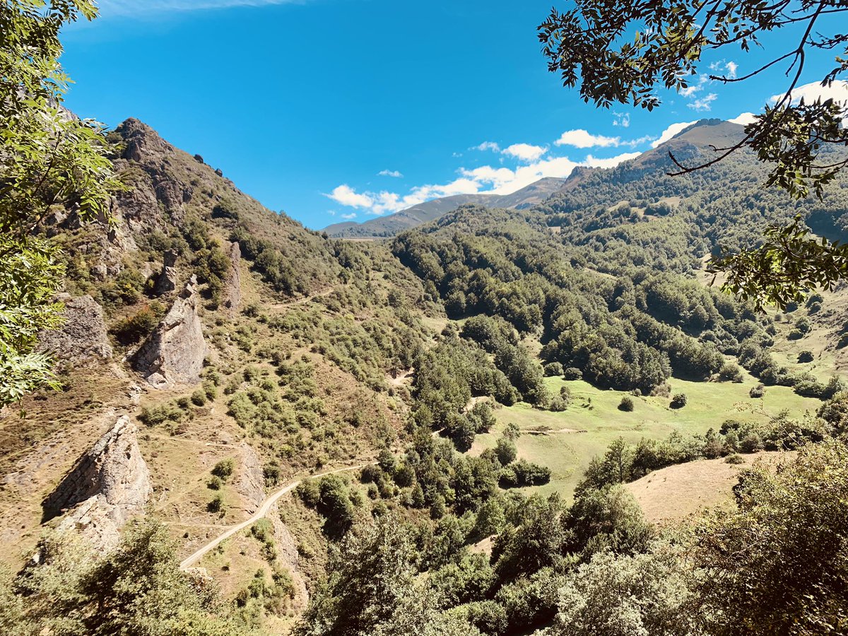 lebanensis's tweet photo. En el camino tradicional de #Dobres #Cantabria #Liébana a Riofrío (lo poco que queda), por encima de la pista actual al salir de Cucayo https://t.co/uV3vUsqVRC