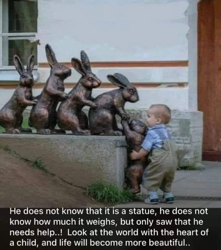 willmalcom's tweet image. 