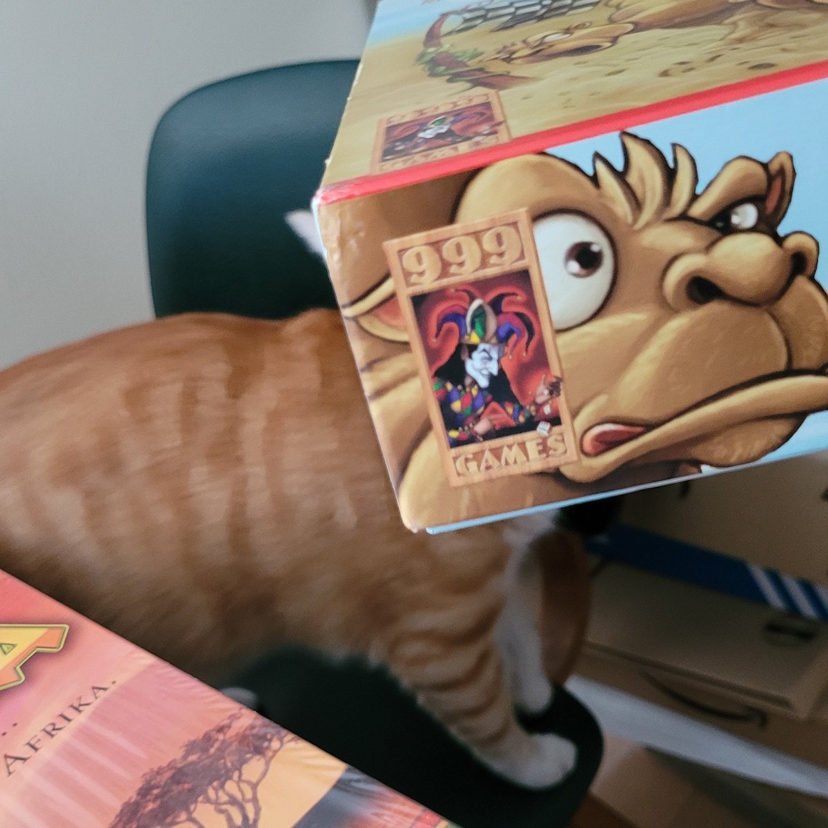 cityhoppers's tweet photo. What are you looking at? https://t.co/S2Imvde8zL