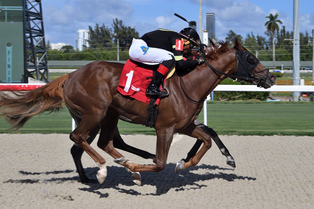 GulfstreamPark's tweet photo. Action Dream outfinishes Rare Jewel to take race 9, @romeronlsa up for trainer and owner Arnoud Dobber. #GulfstreamPark #RoyalSpringMeet https://t.co/bOaaqLrC0F