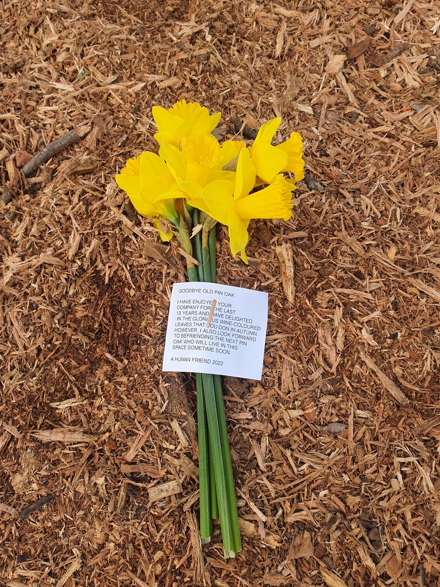 Miriam Webber tweet media