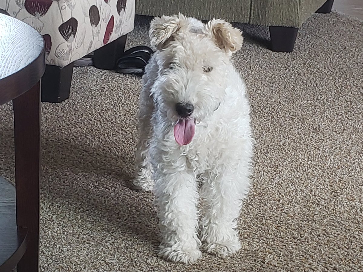 Patiently waiting for our "Yappie Hour" treat