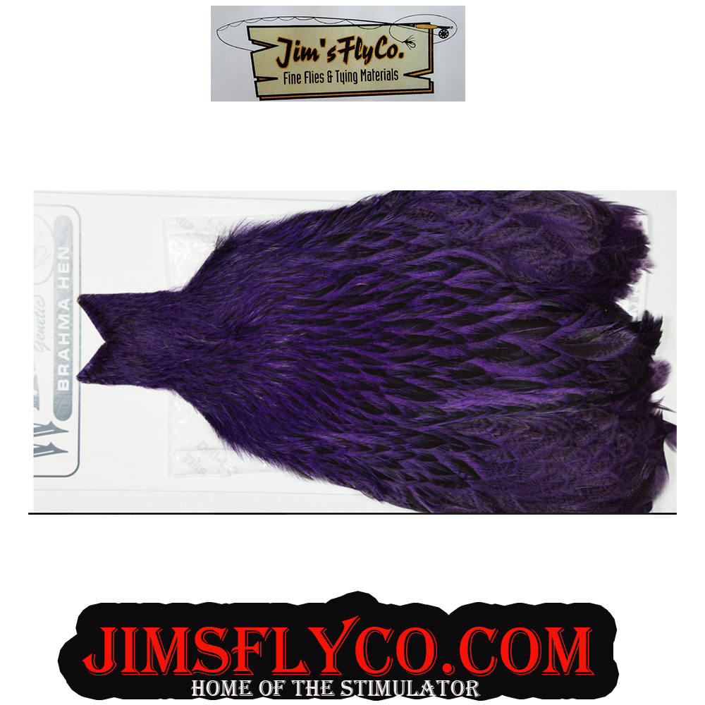 CampfireLodgYNP's tweet photo. Whiting Farms Brahma Dyed Purple
https://t.co/pWWQUUH09D
:
:
#flytying #whitingfarms #flyfishing #dryflies #hackle #flytyinghackle #saltwaterflyfishing #feathers #onthefly #bassfishing #softhackles #tyingsofthackles https://t.co/dmKx6W1apw