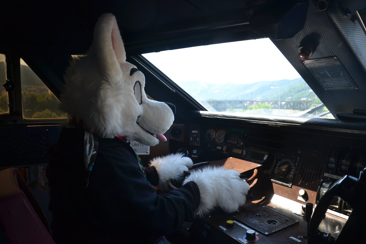 B_railway_dog's tweet photo. Back to work we go 🚄💨💨💨 #RailwayDog #TGV #SNCF #TGVCesko https://t.co/gavfyxwW96