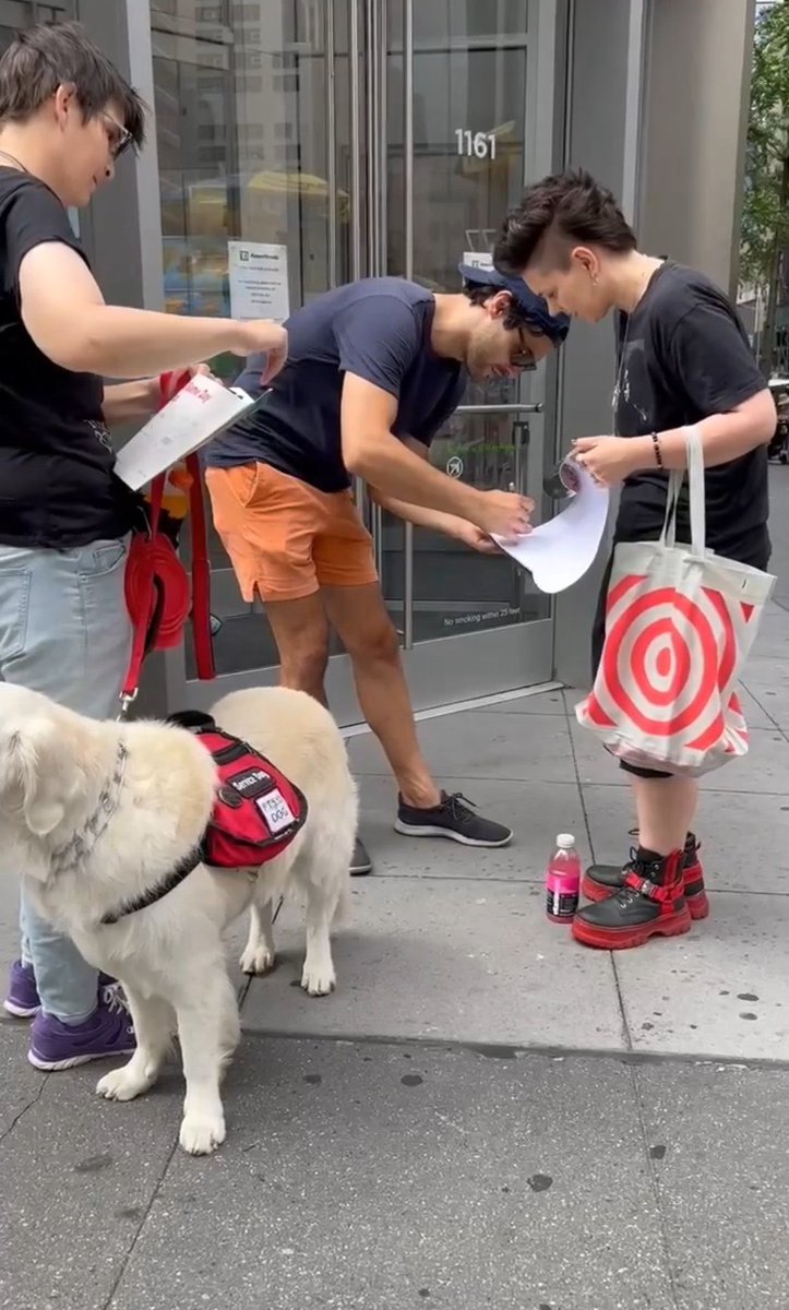 Thor Dog of Thunder tweet media