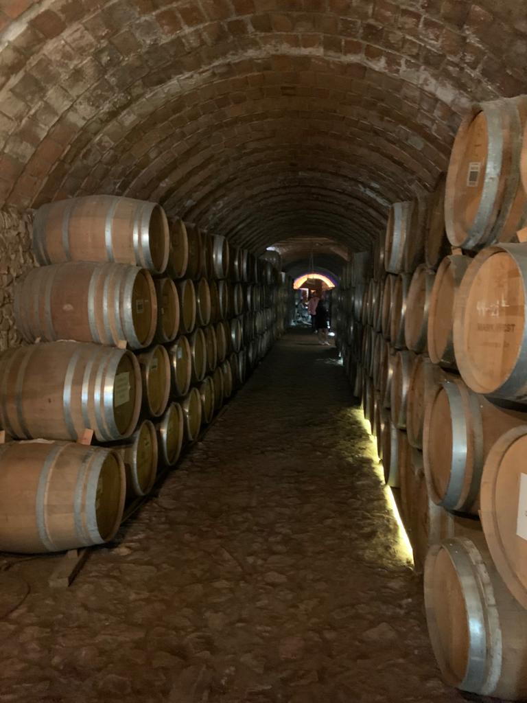 dvnnytorres's tweet photo. Excited to go to @houseof_rare tequila cellar for their upcoming #organicstaking barrels.
Anyone that owns one of the #RAREtequila limited series bottles gets access to a real physical asset that will grow in real value via the aging process. #web3 #realyield https://t.co/riTHTjfZM3