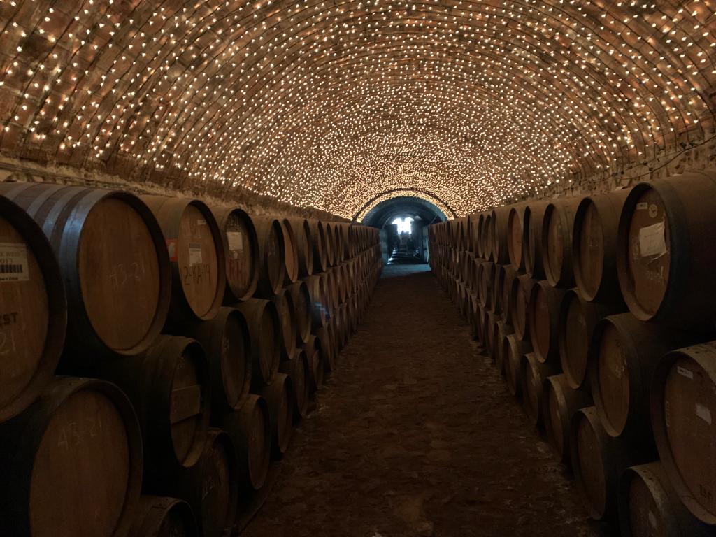 dvnnytorres's tweet photo. Excited to go to @houseof_rare tequila cellar for their upcoming #organicstaking barrels.
Anyone that owns one of the #RAREtequila limited series bottles gets access to a real physical asset that will grow in real value via the aging process. #web3 #realyield https://t.co/riTHTjfZM3