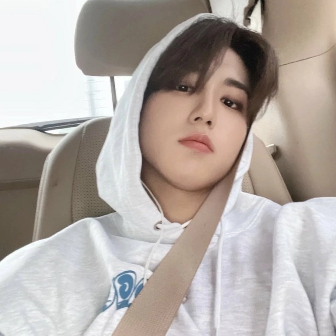 llleejenowifeee's tweet photo. 🪐 поиск мьючалок;

привет, я саша, старичок твиттера, который решил вернуться 🥺
было бы славно найти своих старых мью, но я рада всем всем!! по большей части я стэй и сиджени, но состою во многих фд, мой каррд в био!! 

мяукните в рп и распространените пожалуйста♡ https://t.co/w23wPyGp5s