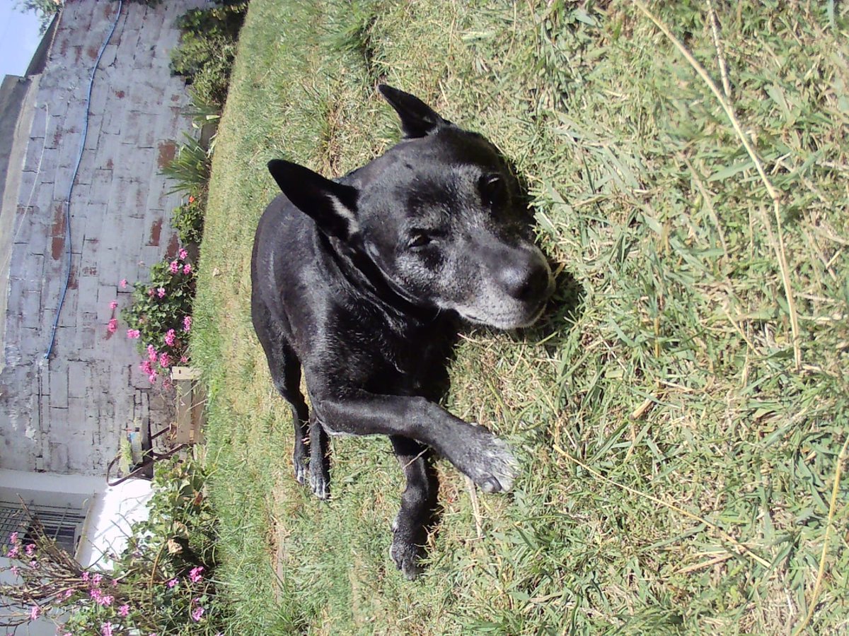 𝖆𝖓𝖙𝖔 ☽ tweet media