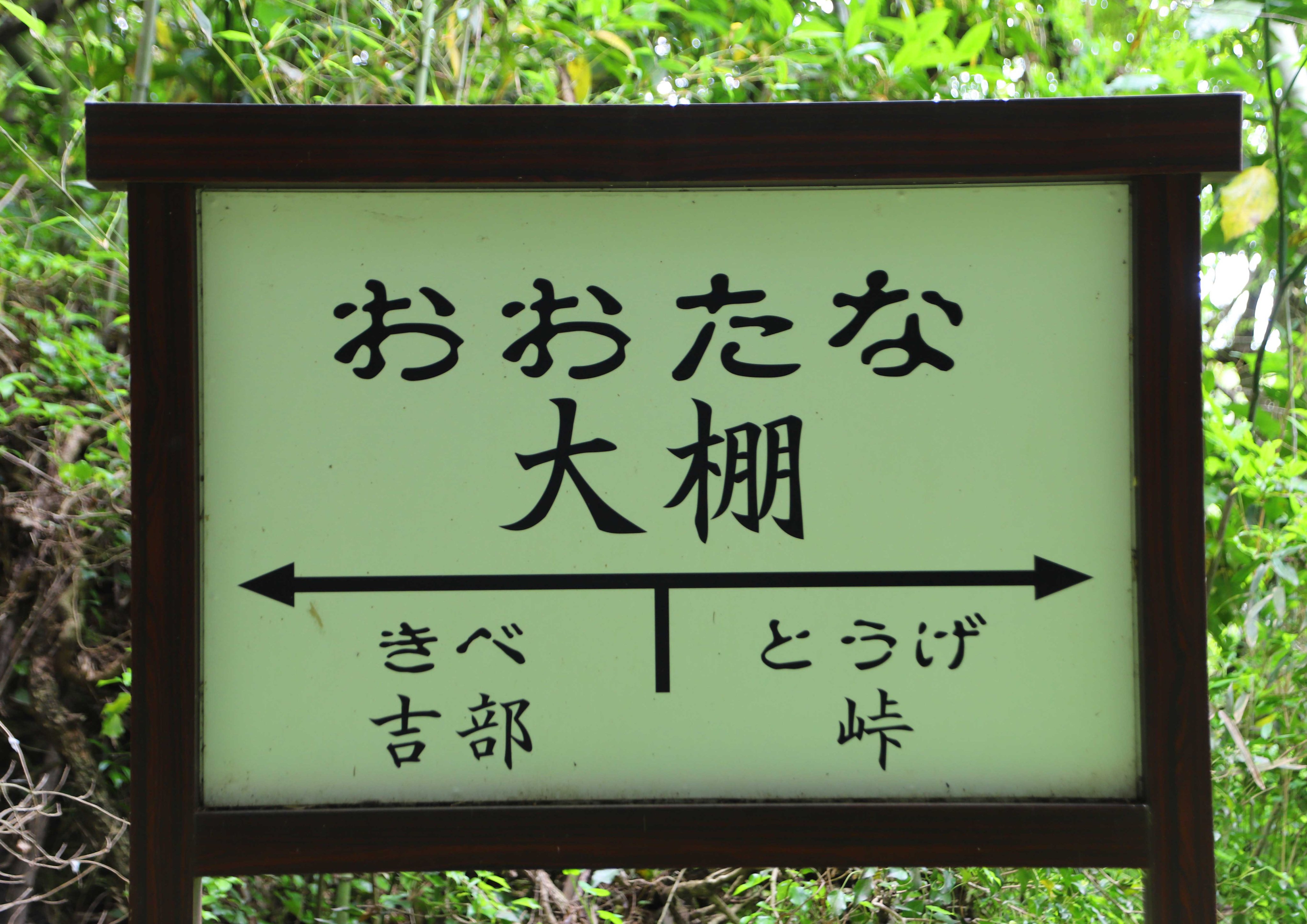 片柳弘史 うっそうと生い茂る木立の中に 突然 現れた赤レンガの古いトンネル まるで 千と千尋 に出てくる異世界への入り口のようですが 実は 廃線となった船木鉄道のトンネルです T Co Rx4qb45wfq Twitter