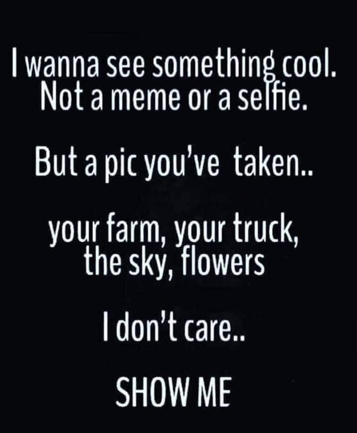 Dnd Sesame Tweet tweet media