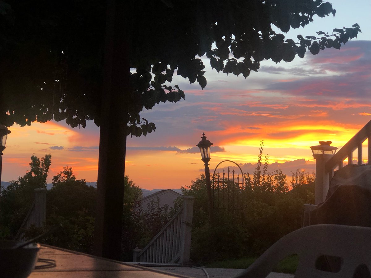 Kamal Rashid, PhD tweet media