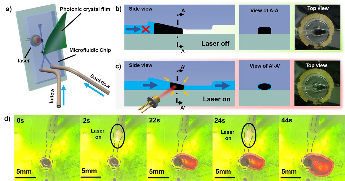 OAE_SoftScience's tweet photo. #Microvalve #ResponsiveHydrogel #MicrofluidicChip #PhotonicCrystals
Sharing a high-quality research article “Fabrication method and performance of a light-responsive hydrogel microvalve in a microfluidic chip”.
Online: https://t.co/MaebFlHICz
Download: https://t.co/InrrOgkNbJ https://t.co/rruo7IUKSR