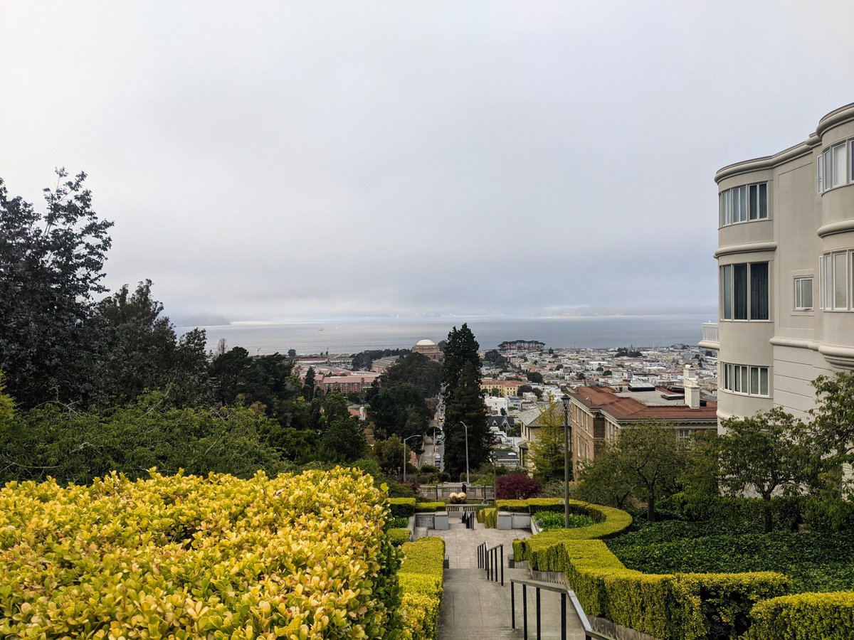 lotusfairies (@lotusfairies) on Twitter photo 