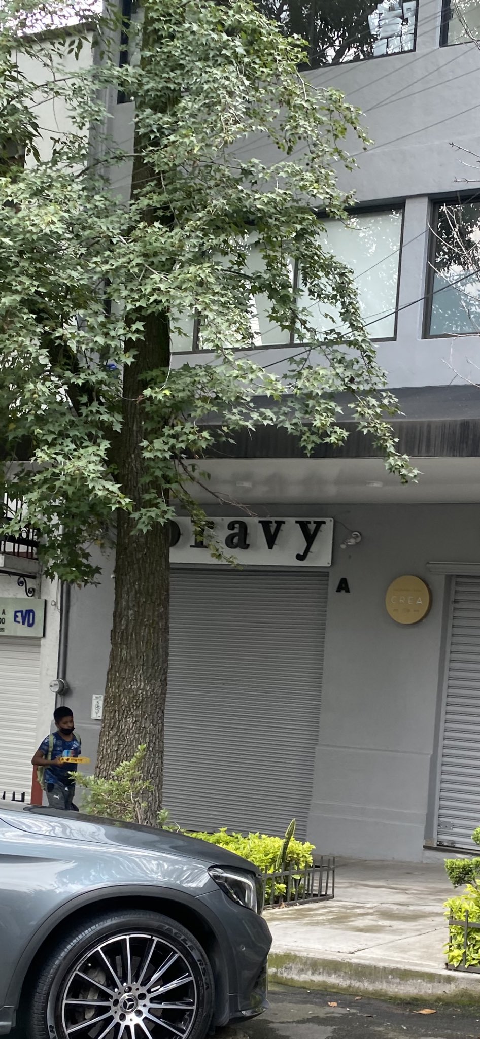 Adolfo Toledo Infanzón on Twitter 