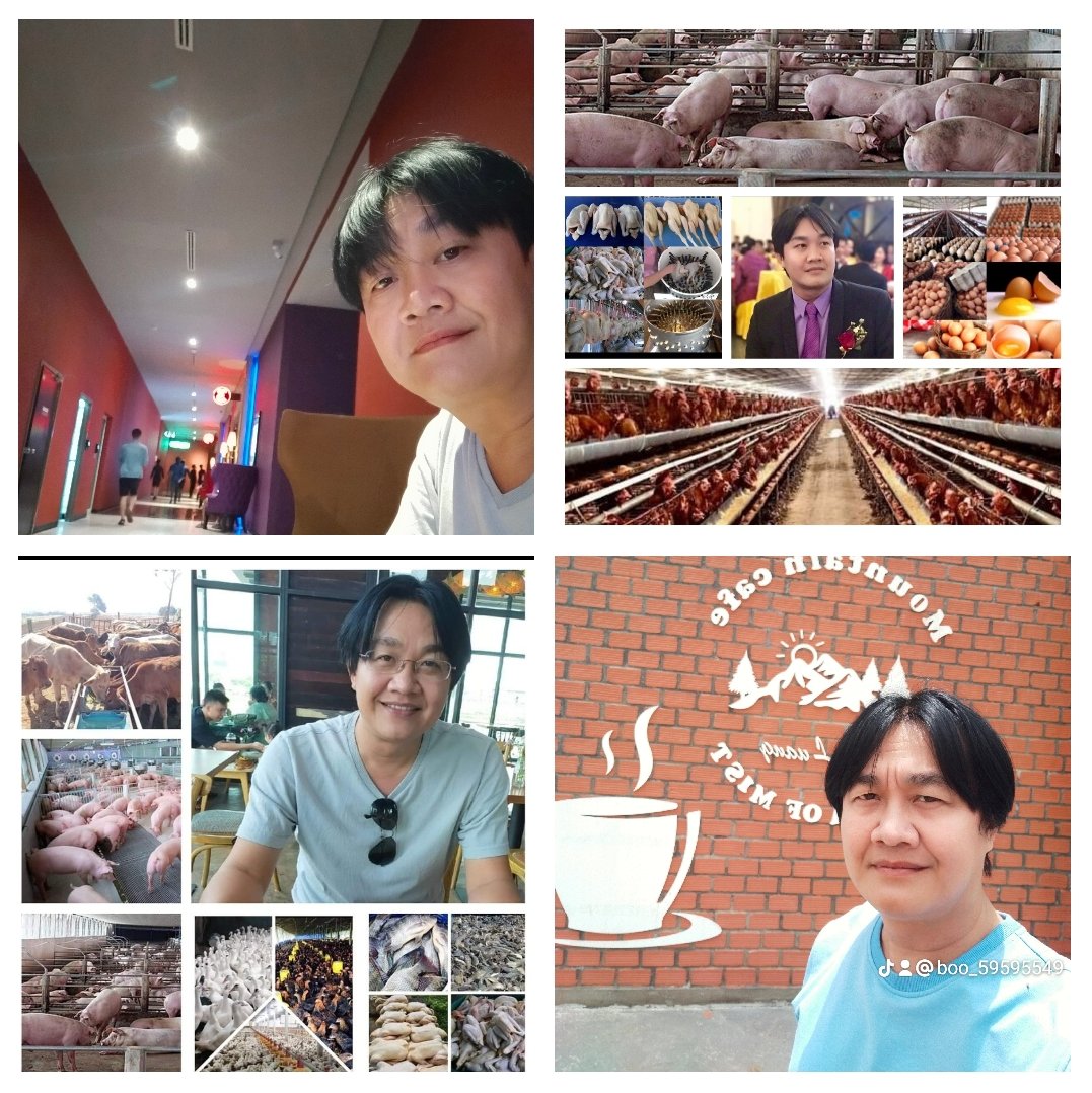 joylapb's tweet image. 