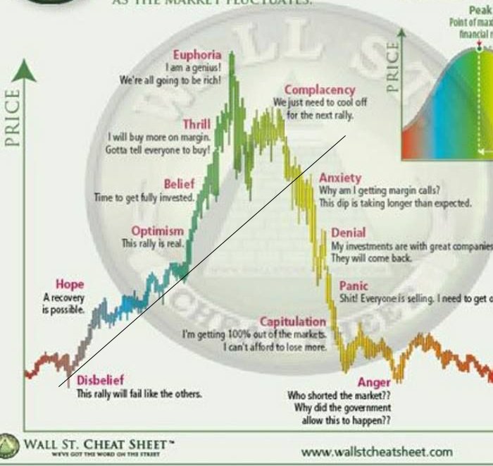 my investments are with great companies
they will come back $BAYC