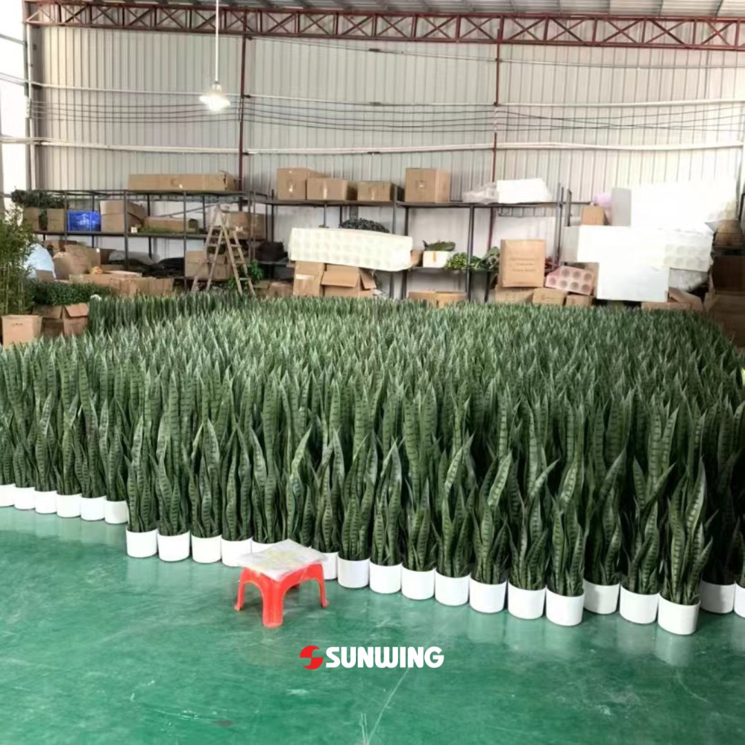 sunwinghedges's tweet photo. 🚀Shipping to Canada~
If you are engaged in the import, wholesale and retail of artificial plants or any project that requires artificial plants. Welcome to contact us thru sales@plantsartifiical.com.
#sunwingartificialplants #artificialplantssupplier #artificialplants https://t.co/u2dWxiXnGD