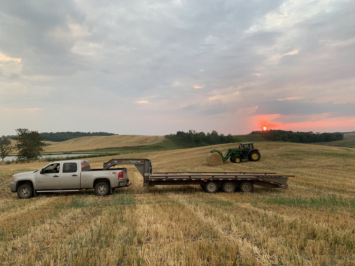 #datenight #romantic #lastload #cowchow