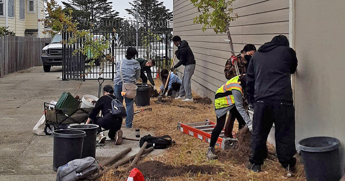 edtechchamp's tweet photo. CAGreenRibbon: RT @SFUrbanForester: At the invitation of Family &amp; Child Empowerment Services San Francisco (@FACESSF), the Green Teens planted new trees at the Bayview Child Development Center. Our Green Teens program is a paid work experience for youth … https://t.co/9z0SeChMwj