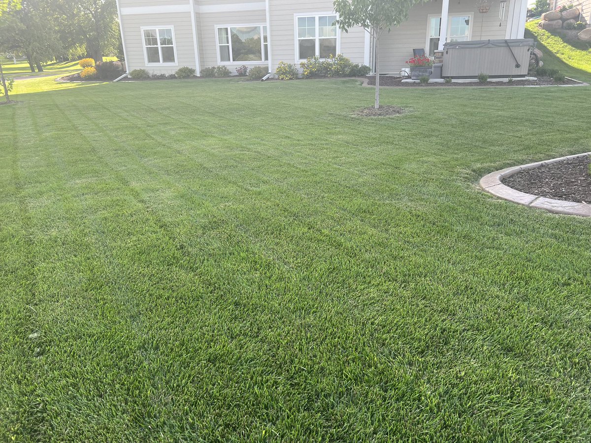 HellerSports's tweet image. Hey @lanceallan … would this get me any points in #LawnWars
#PushMower only