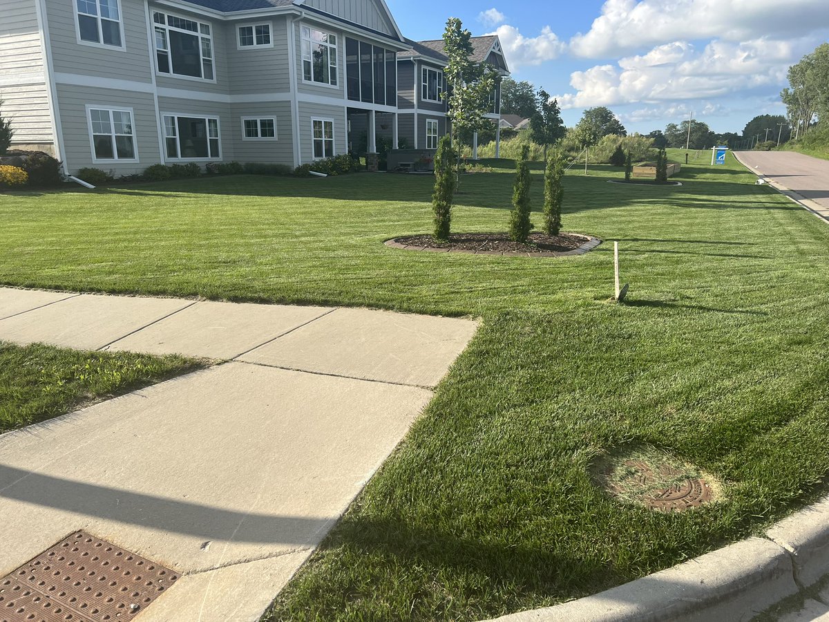 HellerSports's tweet image. Hey @lanceallan … would this get me any points in #LawnWars
#PushMower only