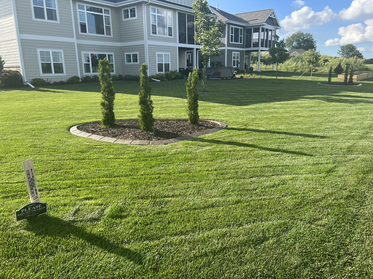 HellerSports's tweet image. Hey @lanceallan … would this get me any points in #LawnWars
#PushMower only