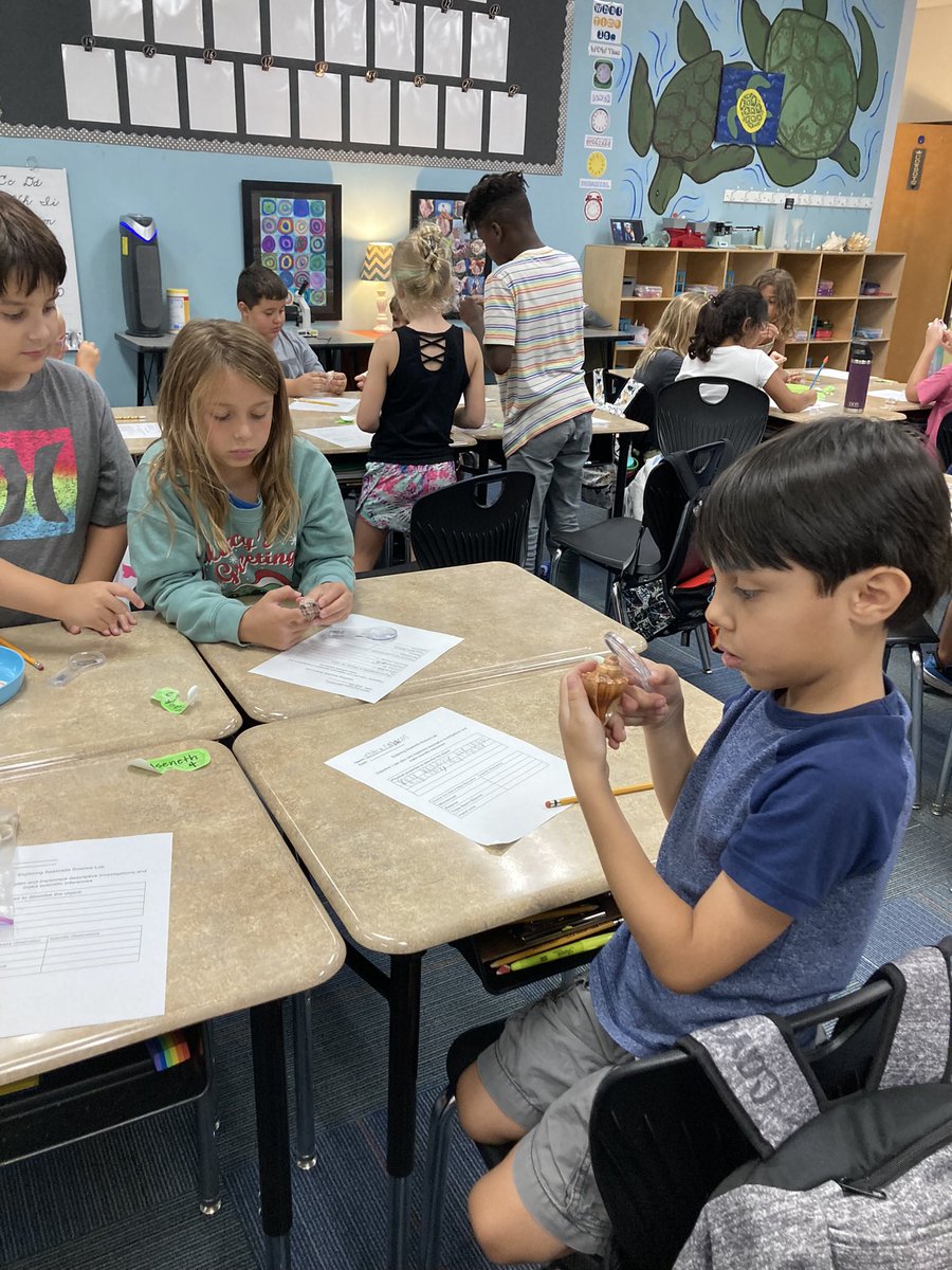 OHE3rd's tweet photo. Team-building activities, scientific investigations, practicing procedures, and learning how to use our classroom materials! Our 3rd graders had the most amazing first week! @OakHillElem https://t.co/NvGL1eCe3m
