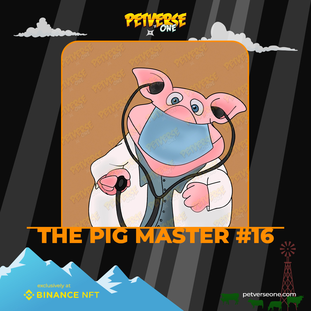 petverseone tweet media