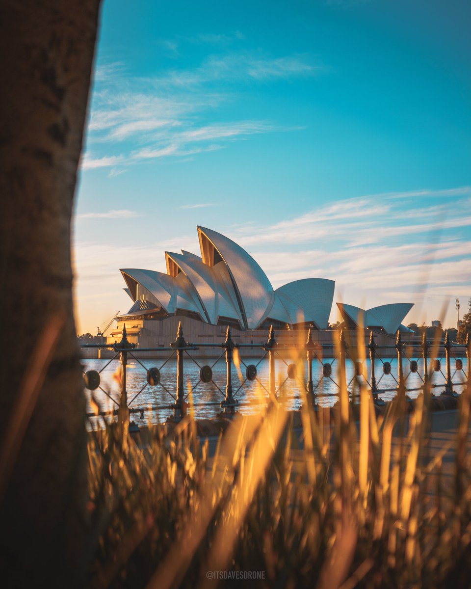 Dave - itsdavesdrone tweet media