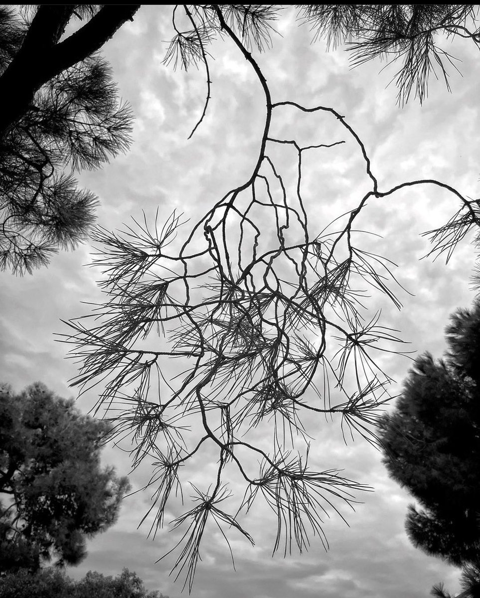 Ufuk Beydemir - Ellerin Uzansa🥂