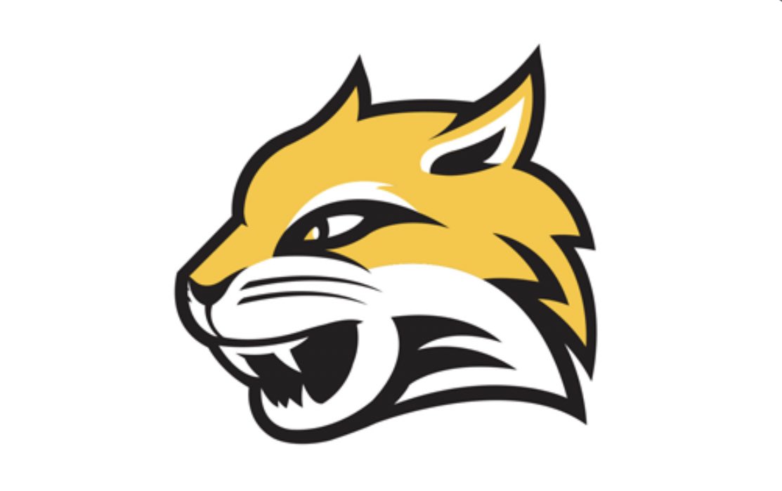 After a great talk with <a href="/LMasters8/">Logan Masters</a>  I’m blessed to receive a offer for Wayne state