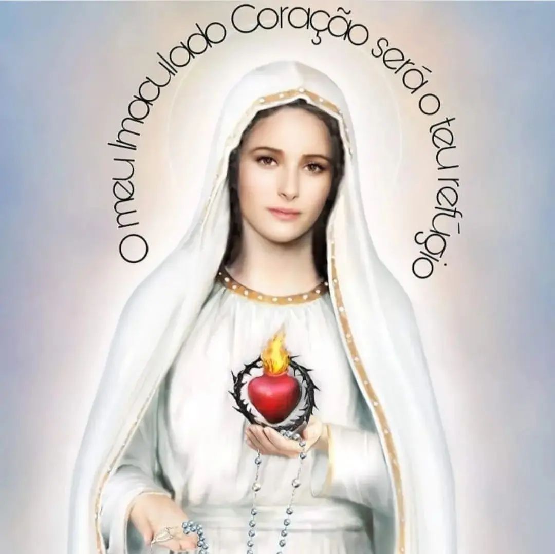 NSenhoraRosario's tweet photo. Ó, minha terna Mãe, em vós confio, quero amar-vos sempre mais e servir-vos com toda felicidade. 
Abençoai-me, protegei-me e preservai-me de todo o mal.  Amém! 🙏❤️🌹 https://t.co/0CX5silV8c
