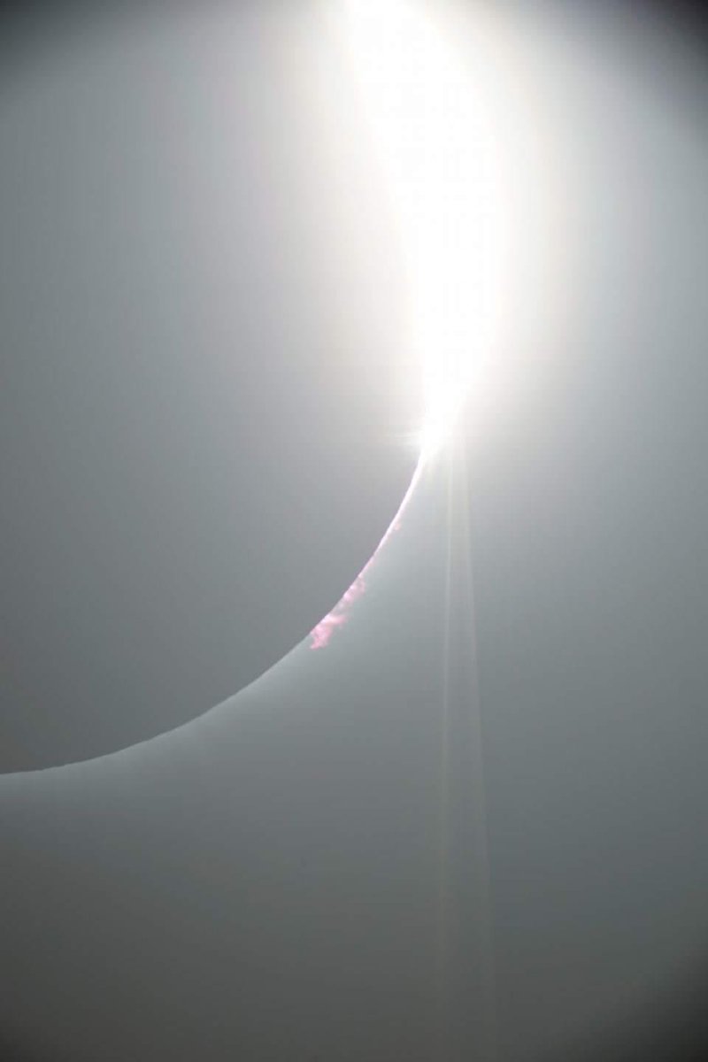 Michael Snyder tweet media