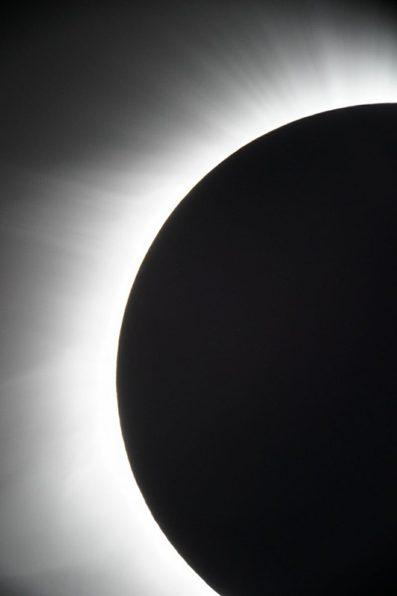 Michael Snyder tweet media