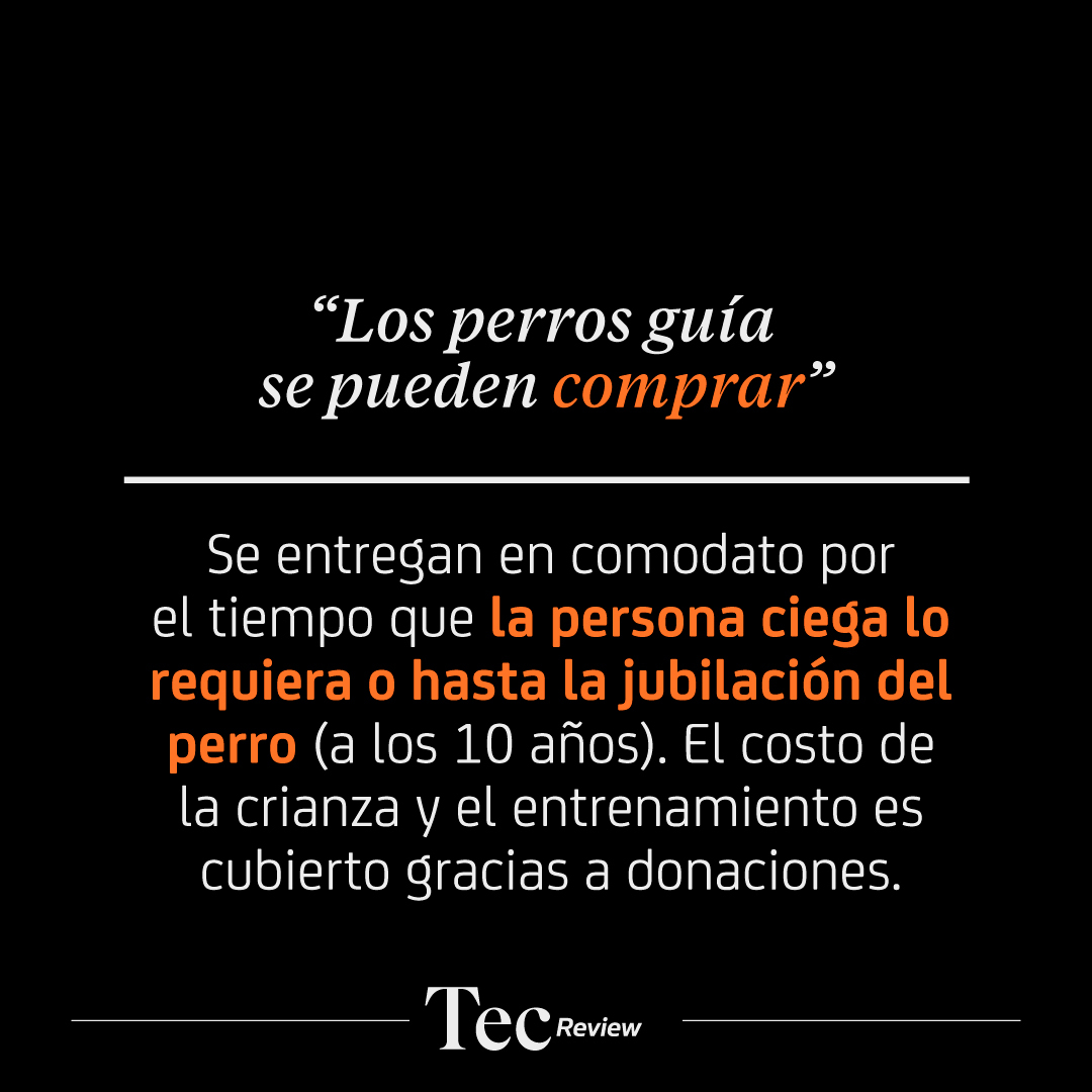 TecScience_'s tweet photo. ¿Los perros guía identifican las luces del semáforo?, ¿es verdad que se pueden comprar?
En #TecReview visitamos @perrosguia para que nos explicaran la mágica relación entre perros guía y personas ciegas https://t.co/BZcbtapRd0 https://t.co/CLu1qU7O9p