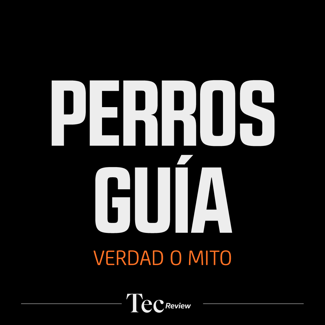 TecScience_'s tweet photo. ¿Los perros guía identifican las luces del semáforo?, ¿es verdad que se pueden comprar?
En #TecReview visitamos @perrosguia para que nos explicaran la mágica relación entre perros guía y personas ciegas https://t.co/BZcbtapRd0 https://t.co/CLu1qU7O9p
