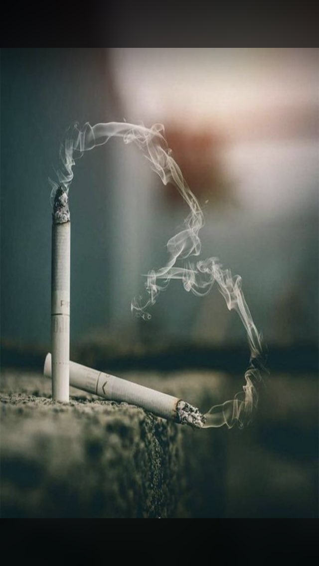 Katsinawa my people Babangida Ruma ya bude maku sabon wajen saida Sigari fa kuma ana bada bashi