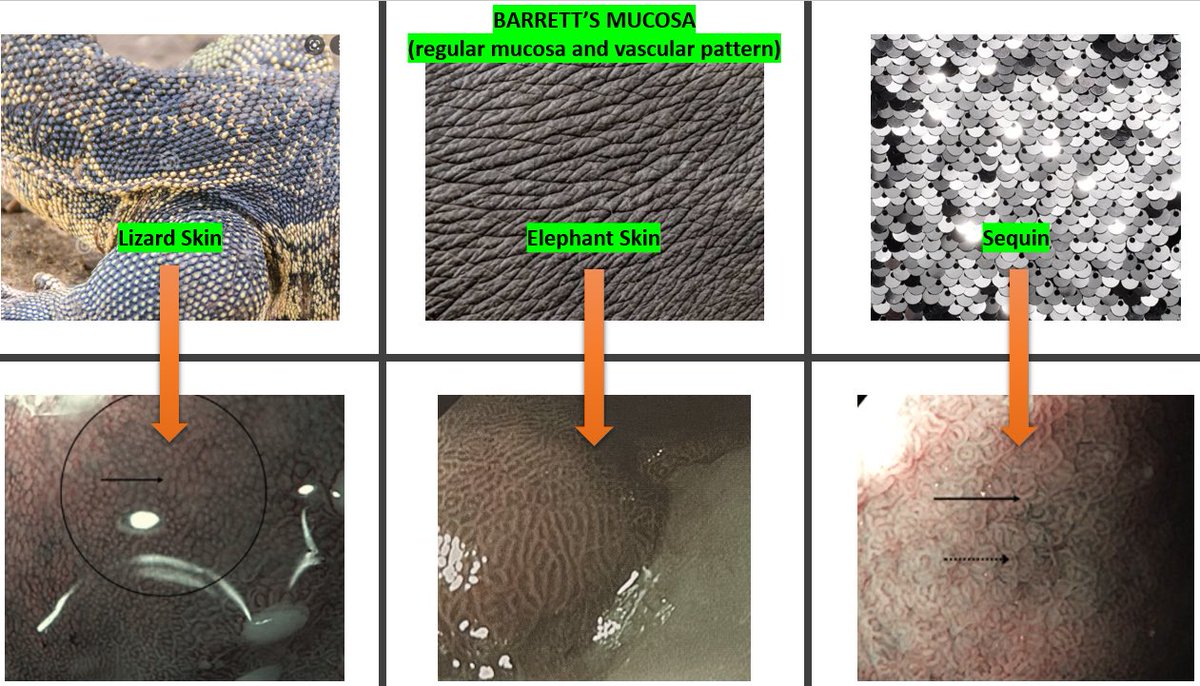 Han Zhang tweet media