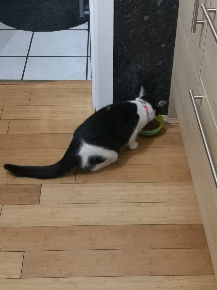 David McBot 🏴󠁧󠁢󠁳󠁣󠁴󠁿 🇪🇺 tweet media