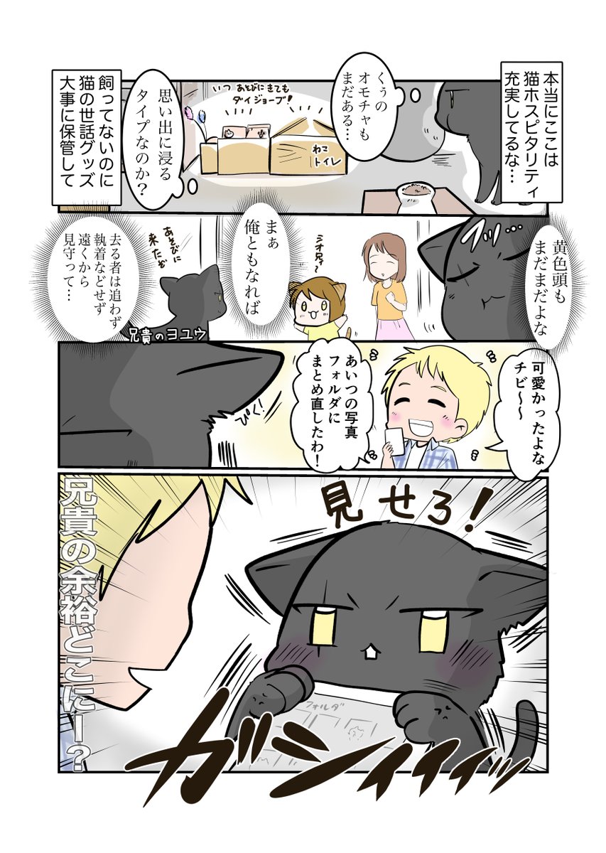 #スパダリにゃんこ 
#くぅの日常 第142話 
世界は愛で回っている②

ハイスペックなスーパーダーリン、スパダリ猫を目指すくぅと、飼い主しずくの日常マンガ。

くぅの忘れ物を届けに来たシオ。しかしくぅには会えず、帰る道中である人物と出くわして…。

#猫マンガ 