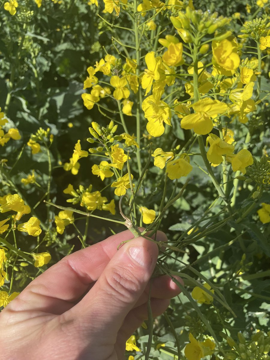 Tim Larwood 🇦🇺 tweet media