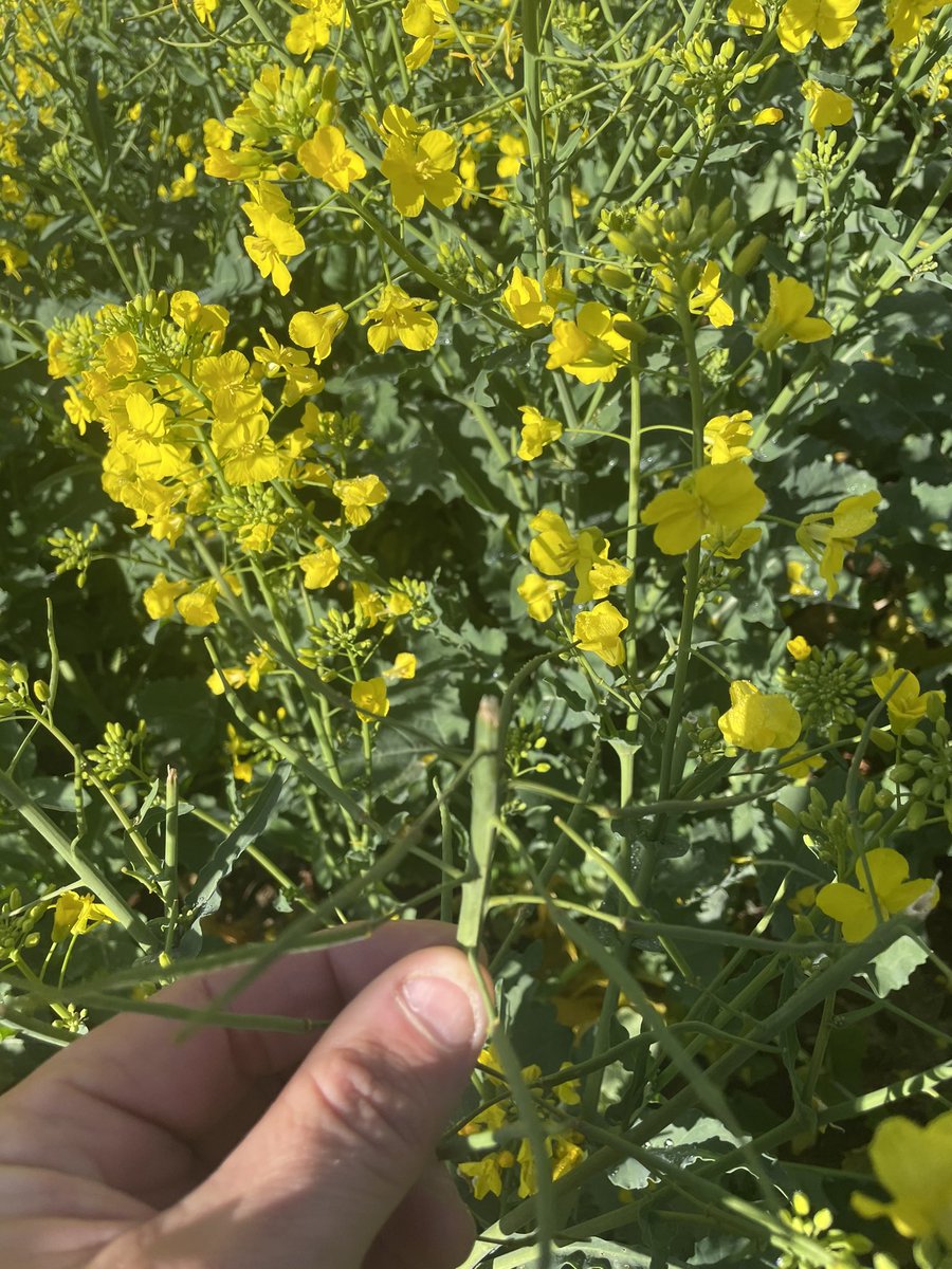 Tim Larwood 🇦🇺 tweet media